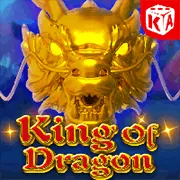 Hỗ Trợ Qua Email