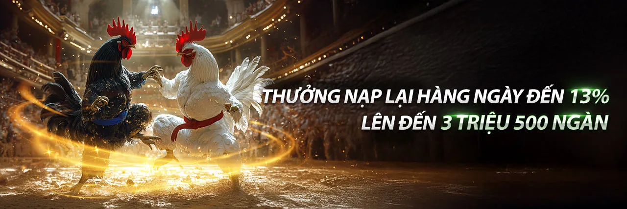 Hình ảnh dịch vụ hỗ trợ khách hàng bj888 Đá Gà